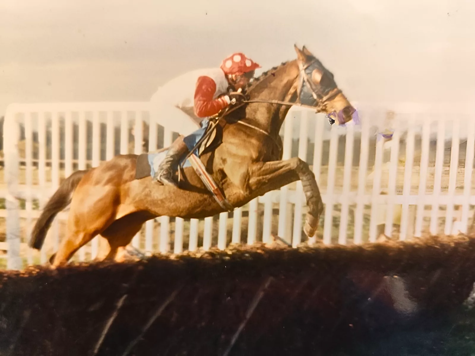 Jockey Jo Lodder riding over a steeplechase fence in his racing days
