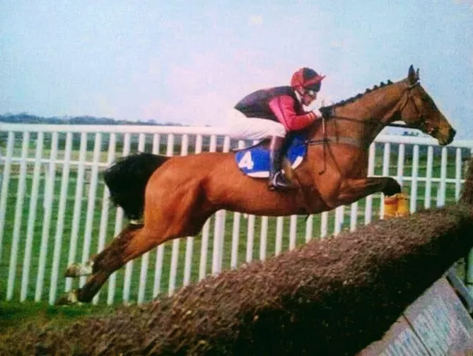 Jockey Jo Lodder jumping a steeplechase fence