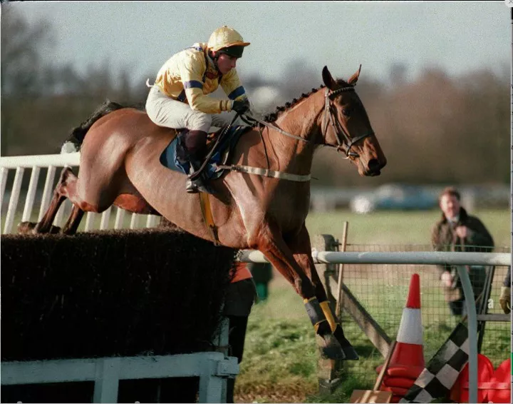 Jockey Jo Lodder airborne over a steeplechase fence, horse at full extension